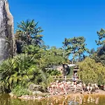 Vue